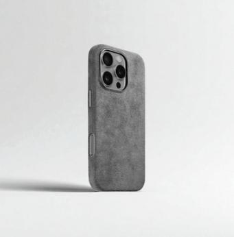 Alcantara Case